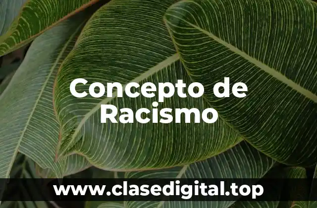 Concepto de Racismo