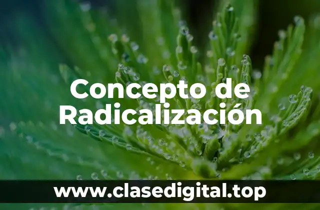 📗 Concepto de Radicalización