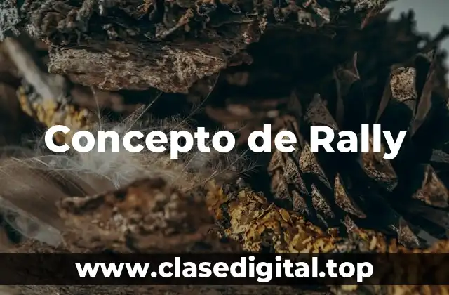 Concepto de Rally