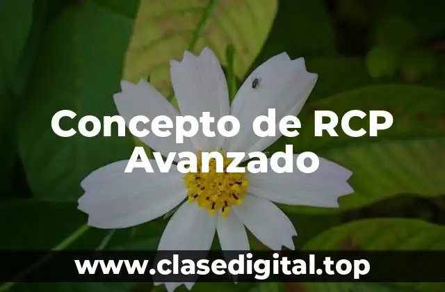 Concepto de RCP Avanzado
