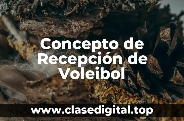 Concepto de Recepción de Voleibol