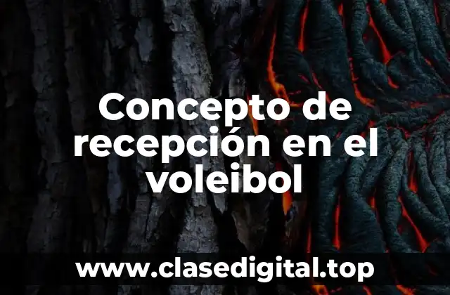 Concepto de recepción en el voleibol