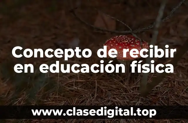 Concepto de recibir en educación física