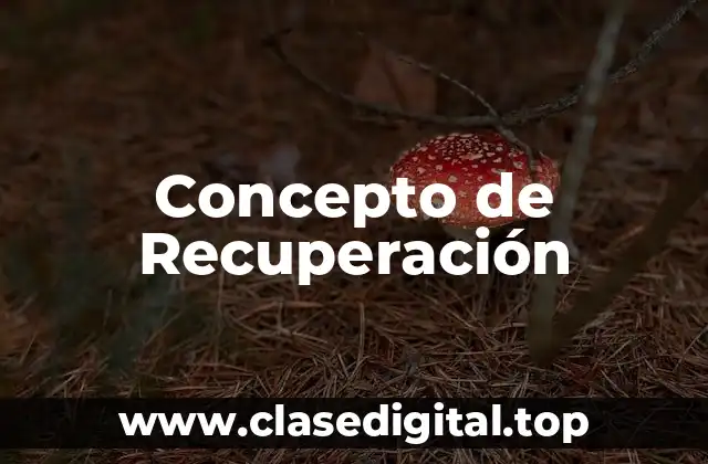 Concepto de Recuperación