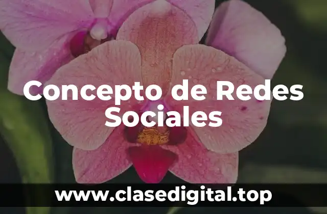 Concepto de Redes Sociales