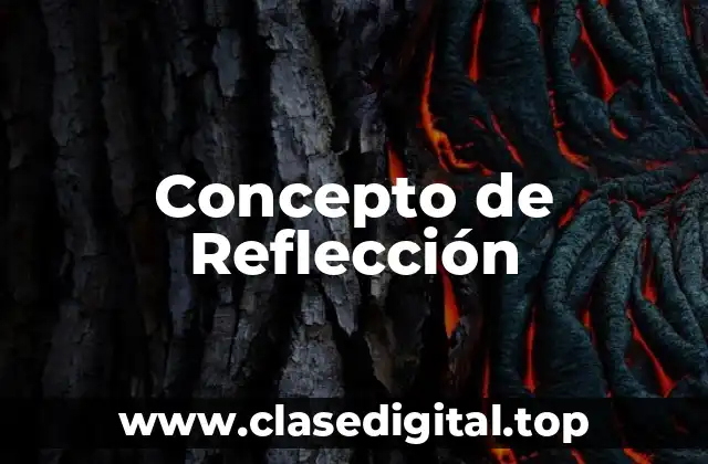 Concepto de Reflección