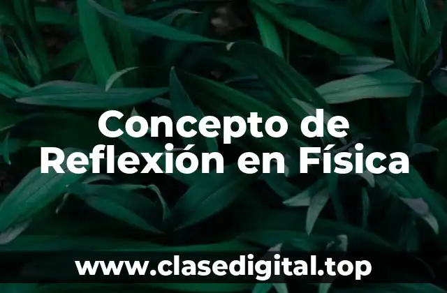 Concepto de Reflexión en Física