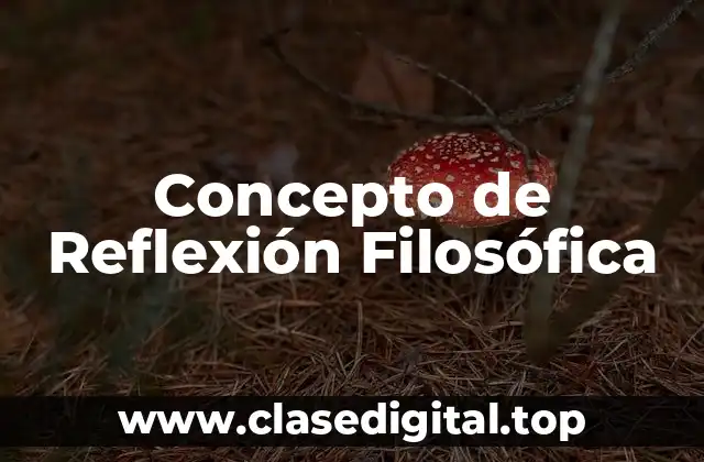Concepto de Reflexión Filosófica