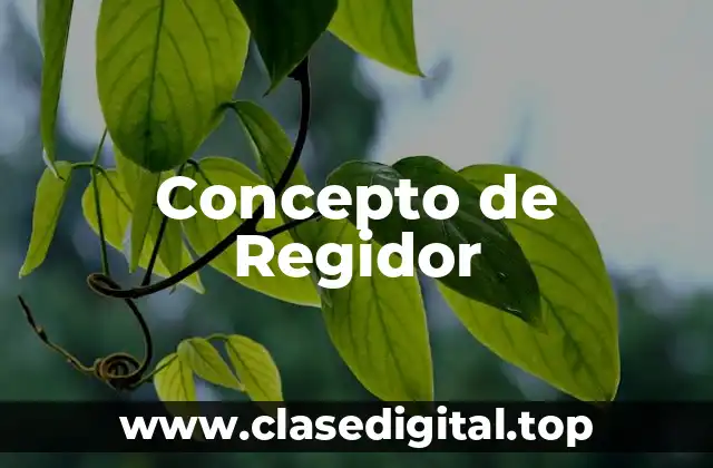 Concepto de Regidor