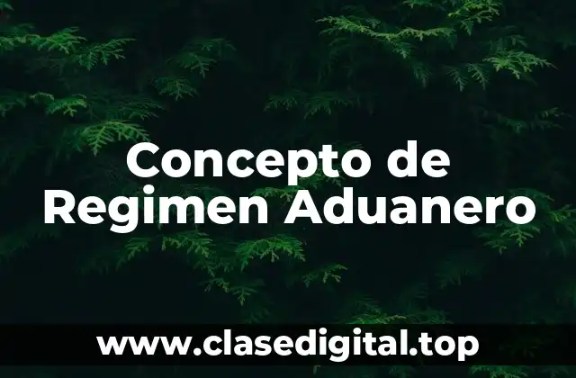 Concepto de Regimen Aduanero