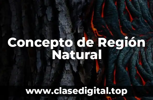 Concepto de Región Natural