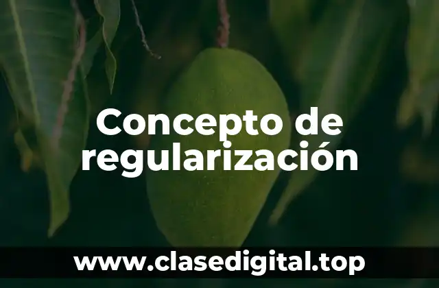 Concepto de regularización