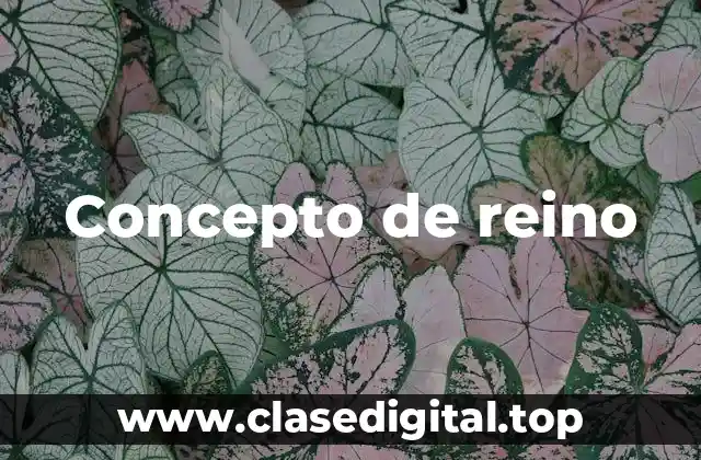 ➡️ Concepto de reino