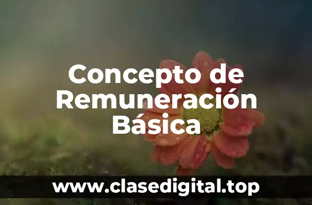 Concepto de Remuneración Básica