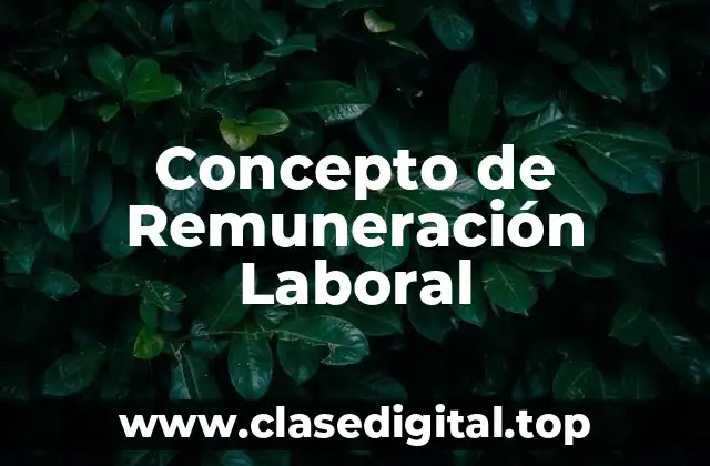 Concepto de Remuneración Laboral