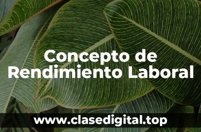 Concepto de Rendimiento Laboral