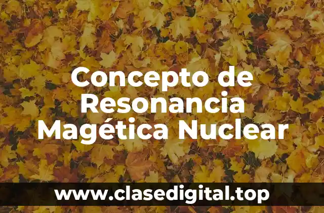 Concepto de Resonancia Magética Nuclear