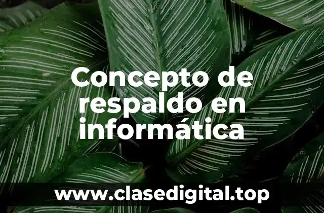 Concepto de respaldo en informática