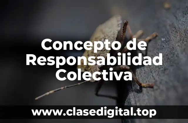 Concepto de Responsabilidad Colectiva