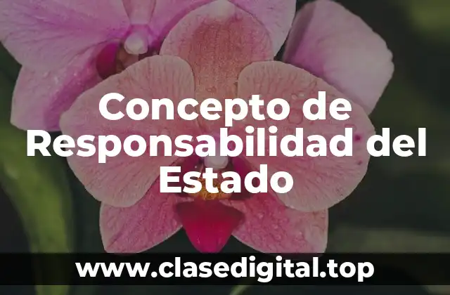 Concepto de Responsabilidad del Estado
