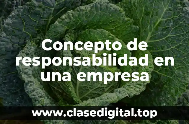 Concepto de responsabilidad en una empresa