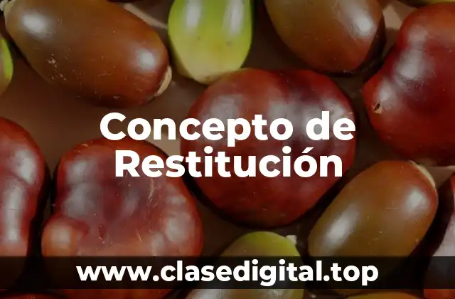 Concepto de Restitución