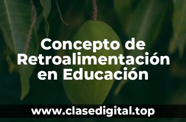 Concepto de Retroalimentación en Educación