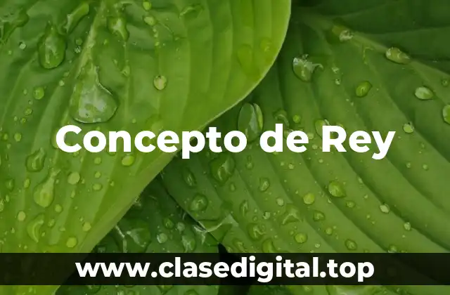Concepto de Rey