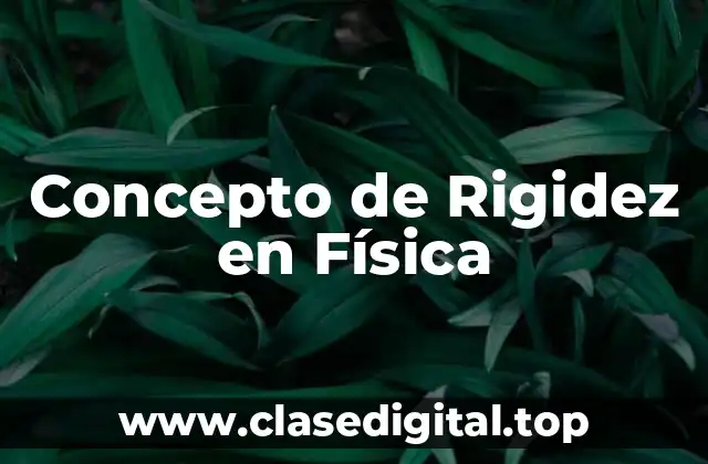 Concepto de Rigidez en Física