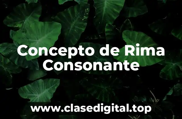 Concepto de Rima Consonante