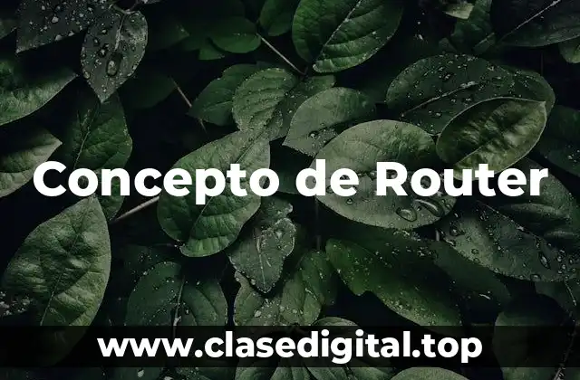Concepto de Router