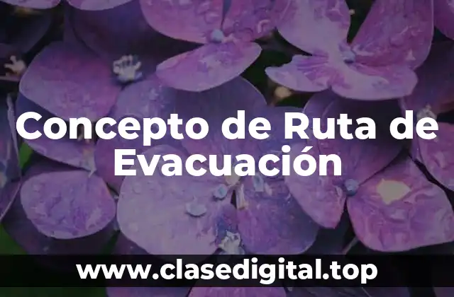 Concepto de Ruta de Evacuación