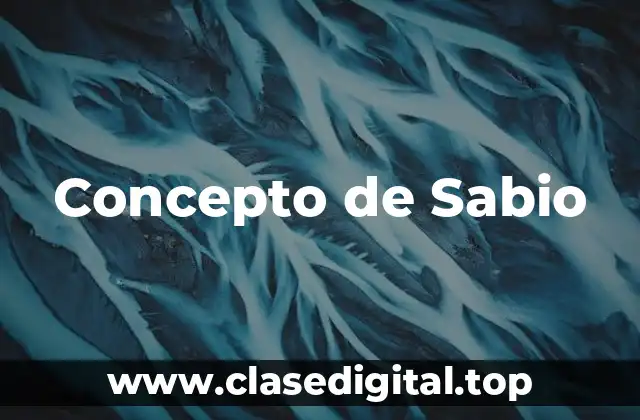 Concepto de Sabio