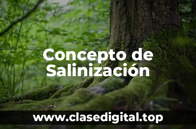 Concepto de Salinización