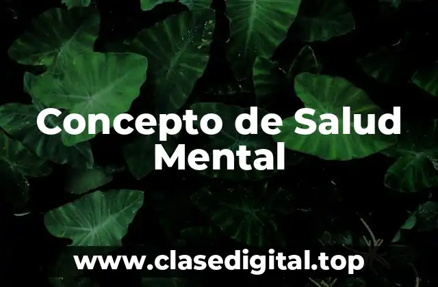 Concepto de Salud Mental