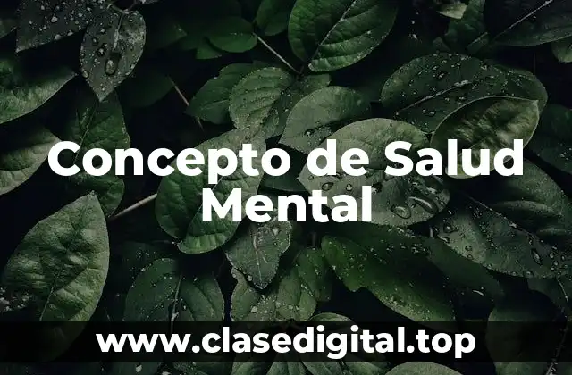 Concepto de Salud Mental