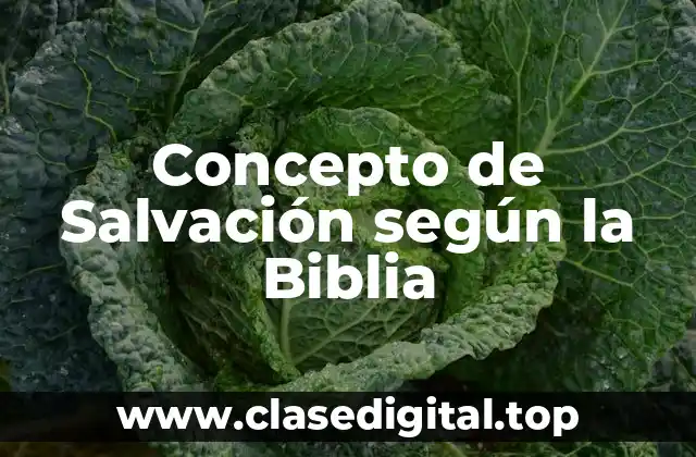 Concepto de Salvación según la Biblia