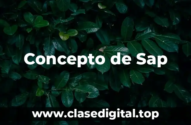 Concepto de Sap