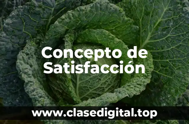 Concepto de Satisfacción