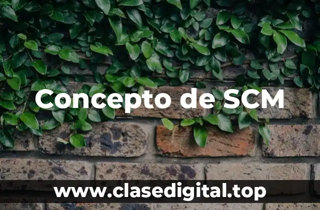 Concepto de SCM