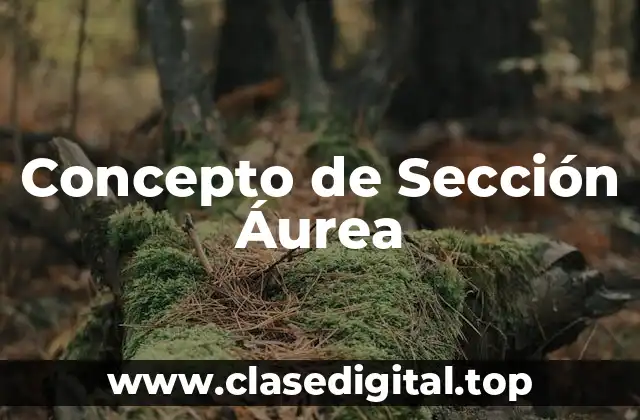 Concepto de Sección Áurea