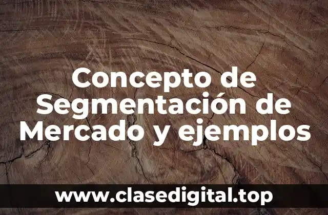 📗 Concepto de Segmentación de Mercado