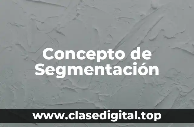 Concepto de Segmentación