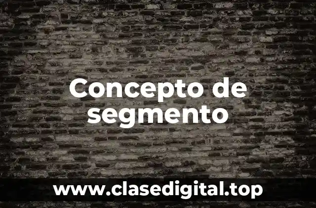 Concepto de segmento