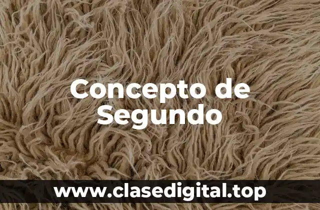 Concepto de Segundo