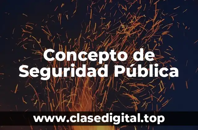 Concepto de Seguridad Pública