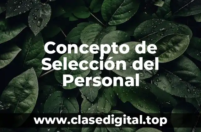 Concepto de Selección del Personal