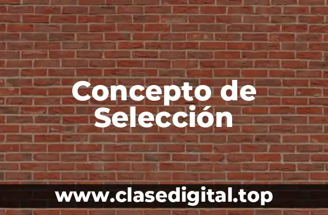 Concepto de Selección