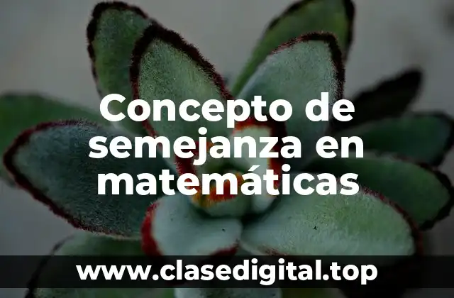 Concepto de semejanza en matemáticas