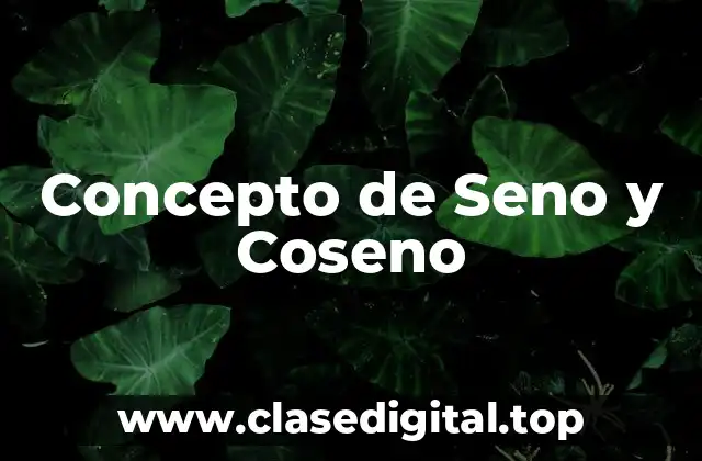 📗 Concepto de Seno